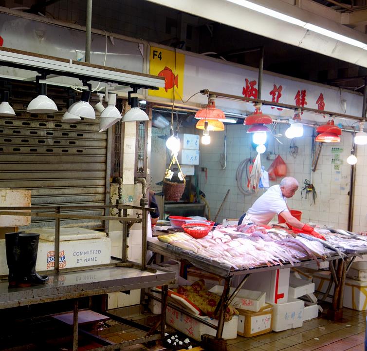 DSC00870.jpg