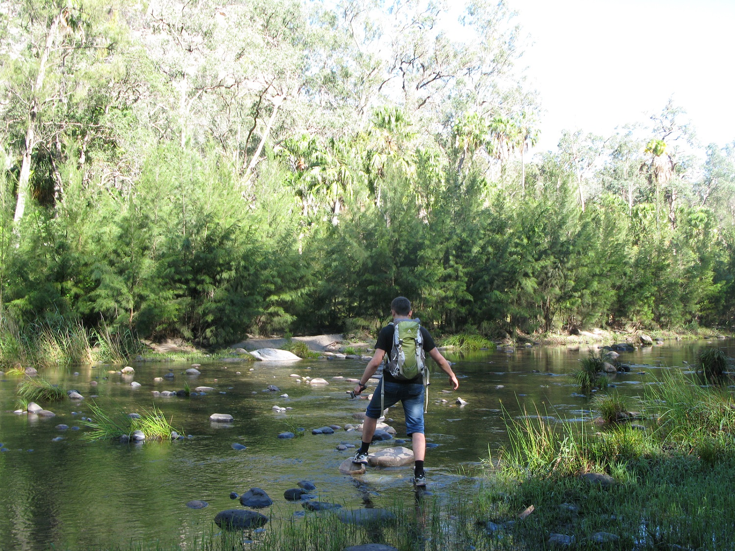 IMG113.JPG