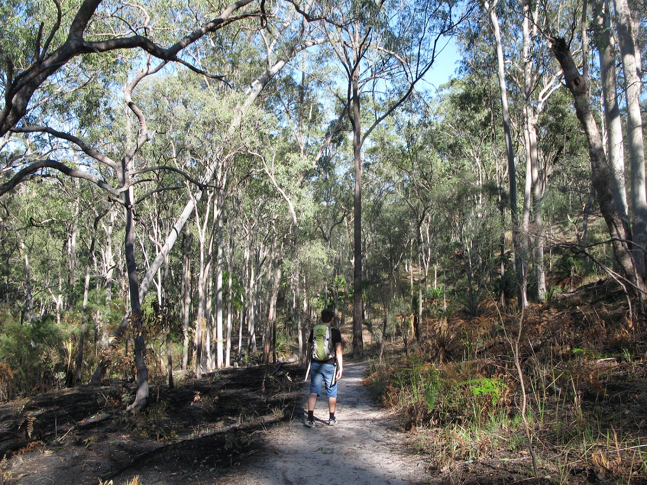IMG115.JPG