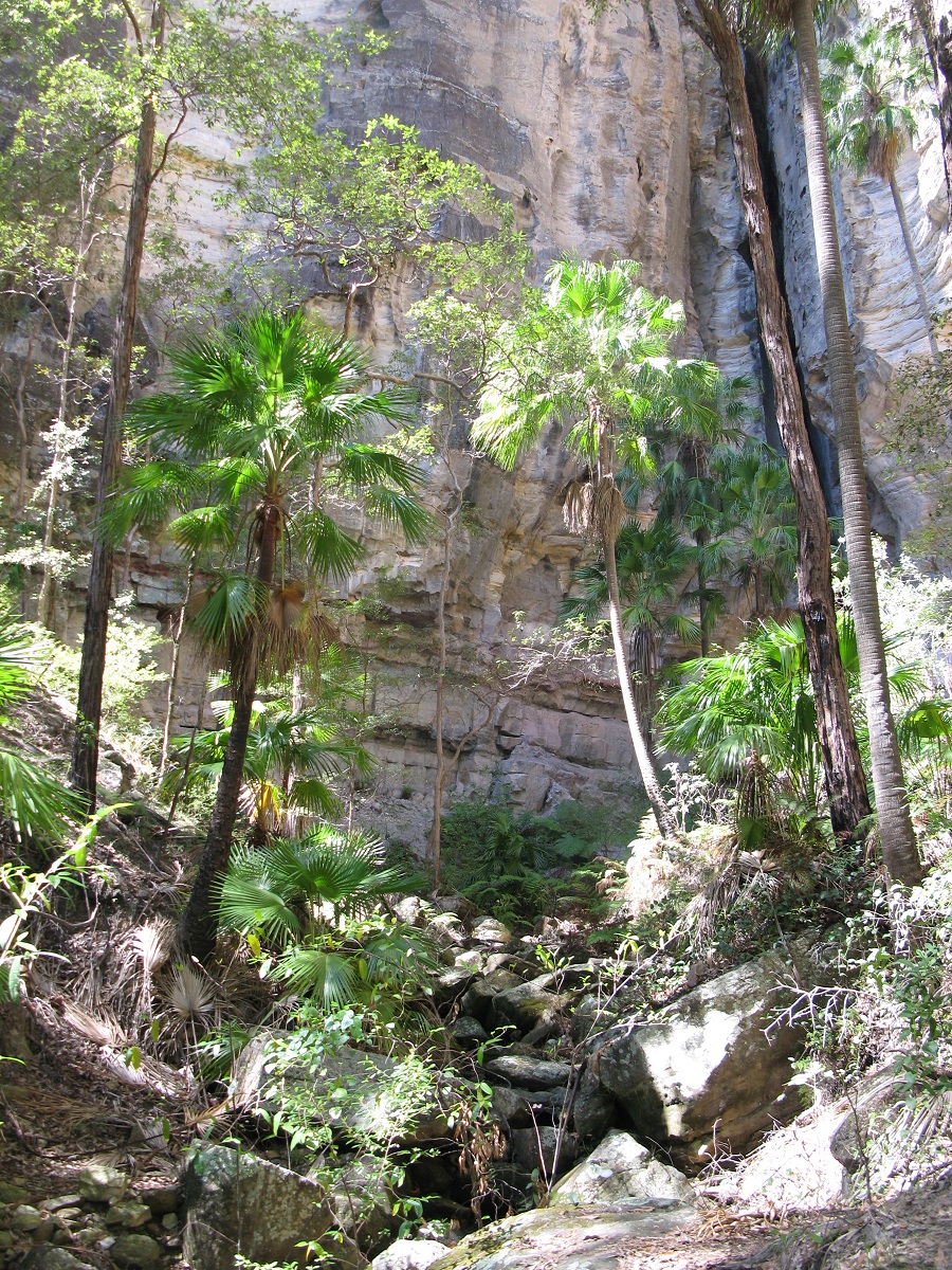 IMG120.JPG