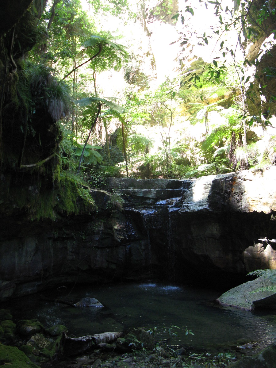 IMG125.JPG