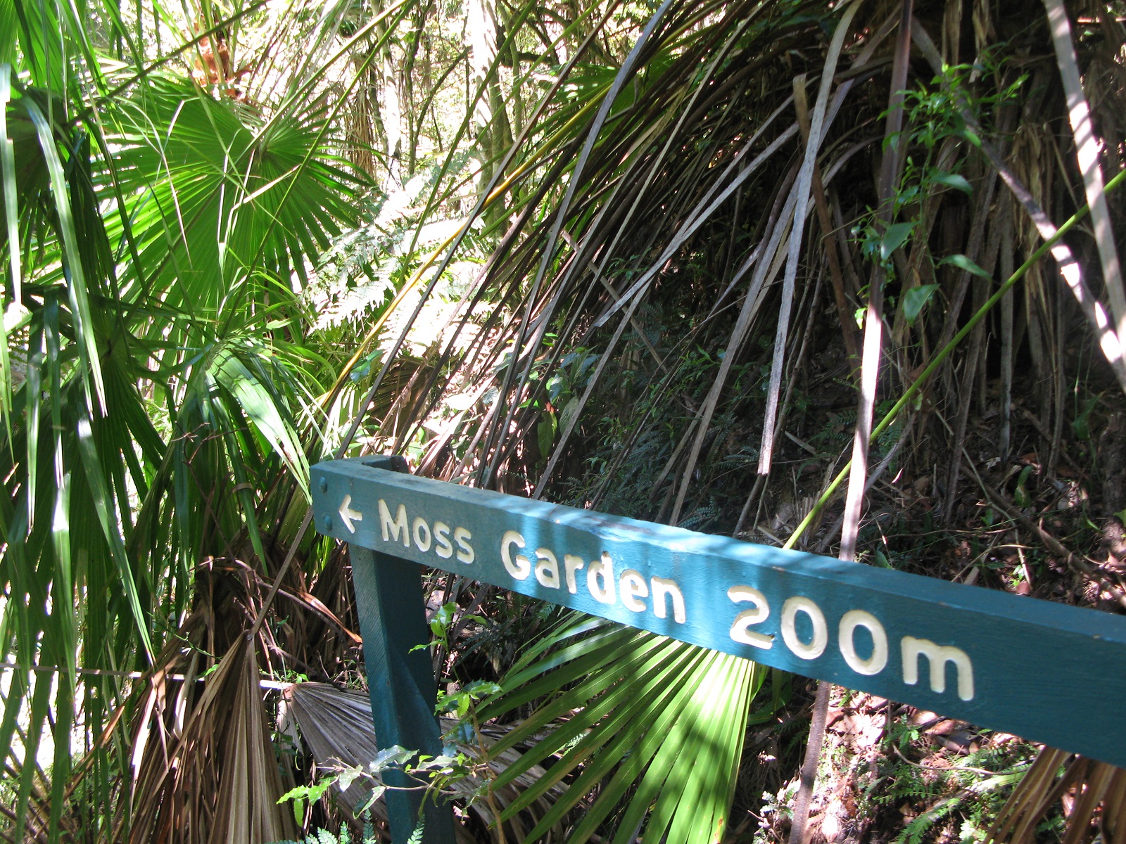 IMG124.JPG