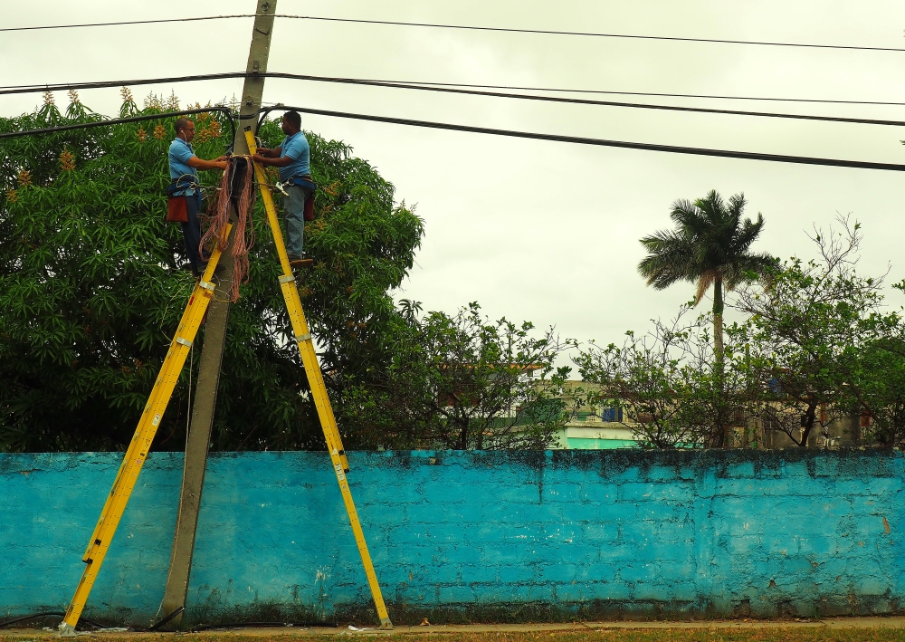 P1267931.JPG