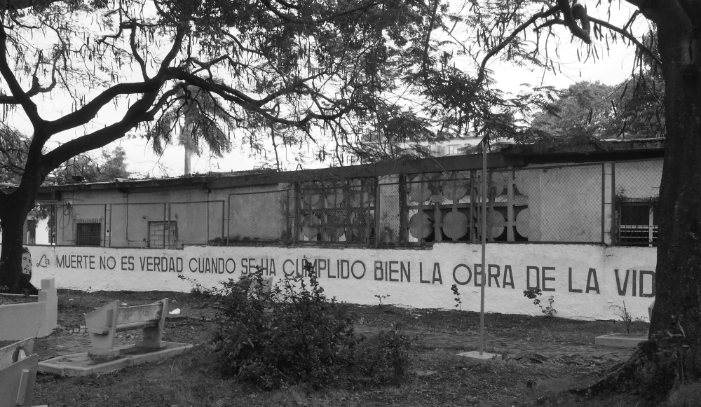 P1257926.JPG