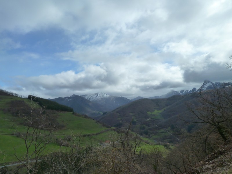 panorama.jpg