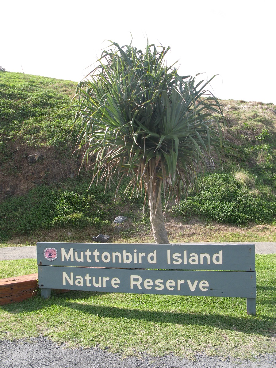 IMG157.JPG