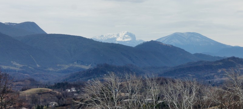 IMG_6933.JPG