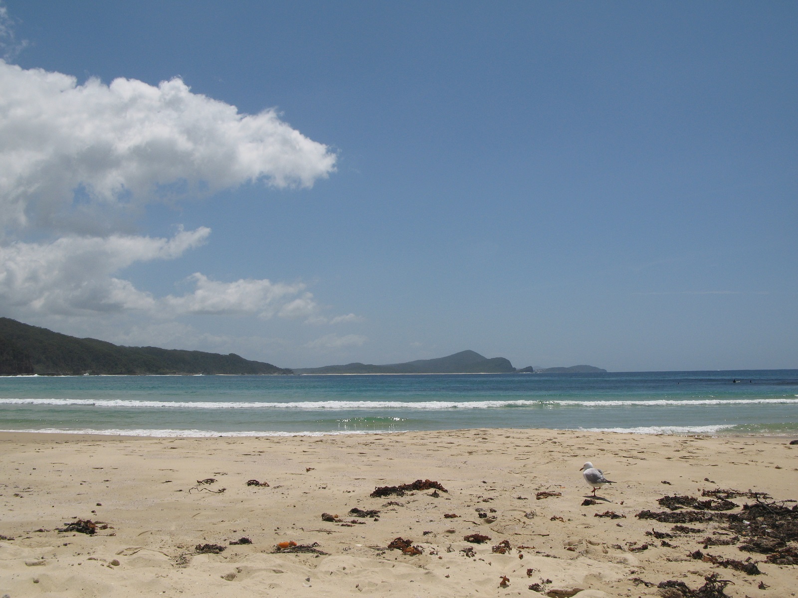 IMG175.JPG