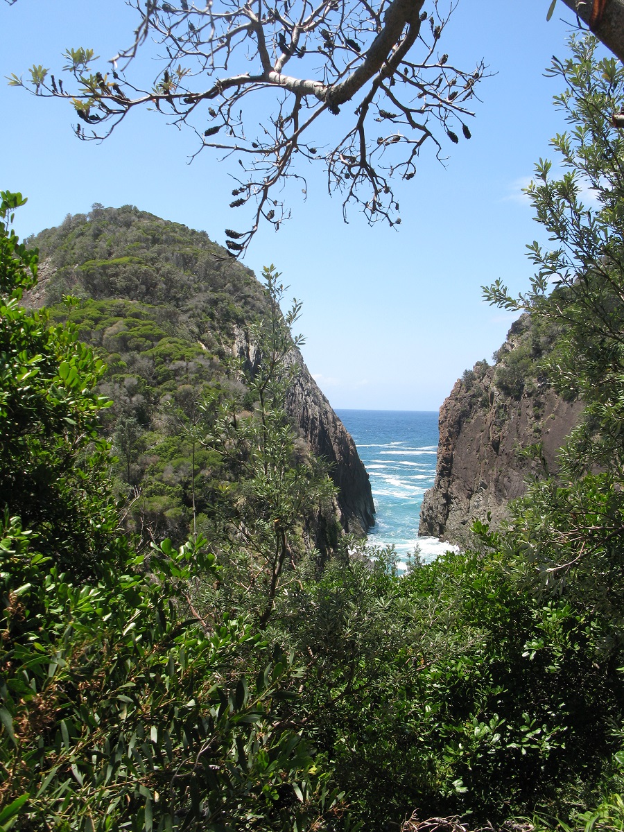 IMG180.JPG