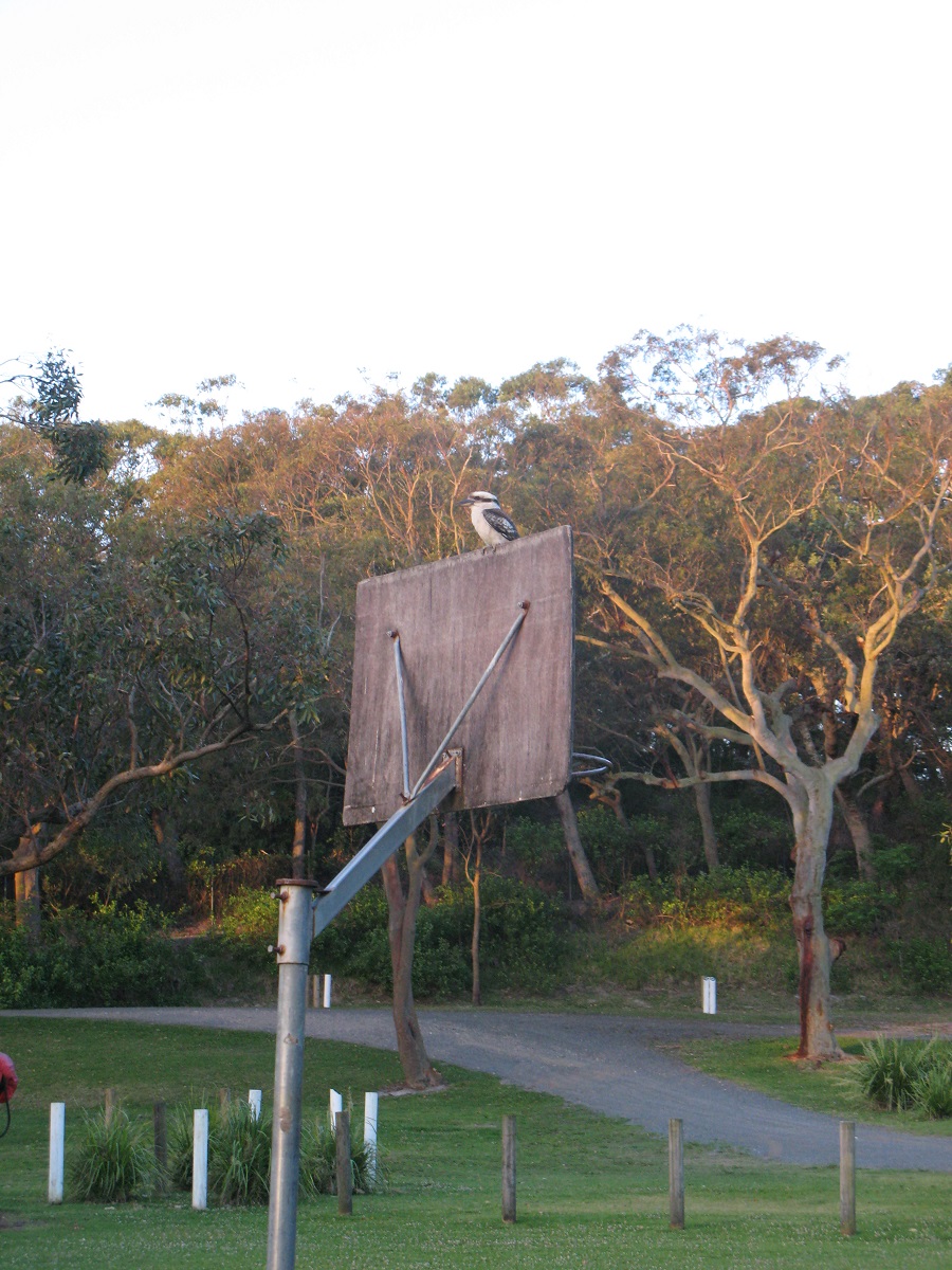 IMG183.JPG