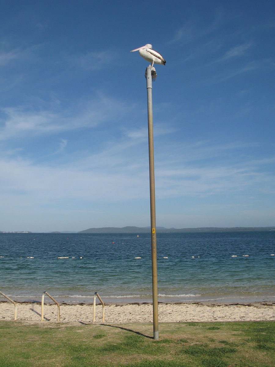 IMG185.JPG