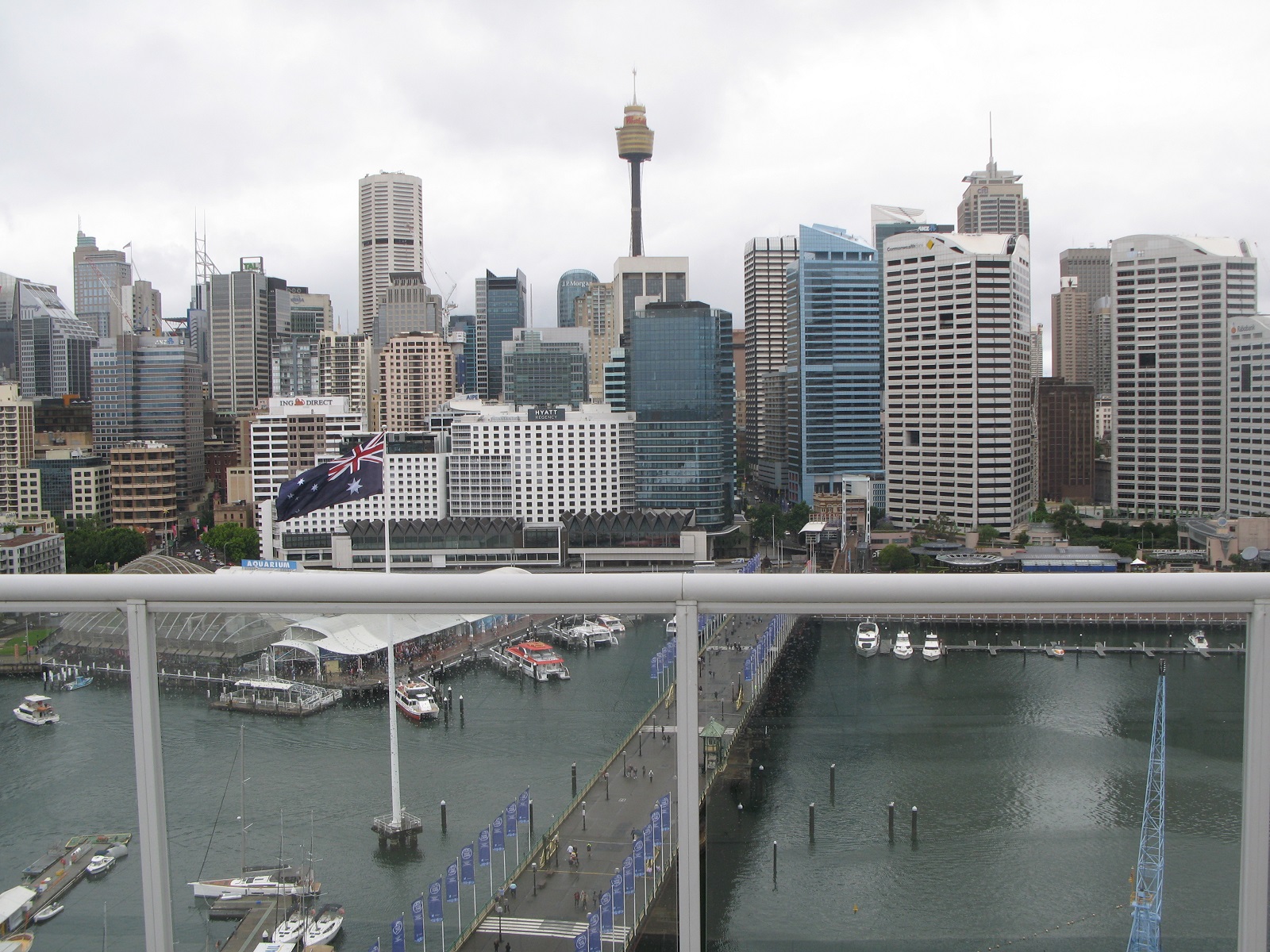 IMG195.JPG