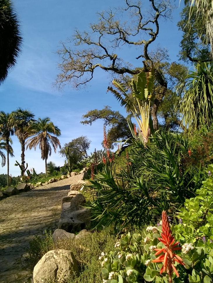 WP_20180225_116_1.jpg