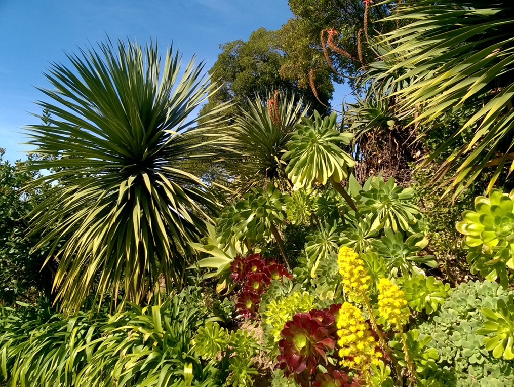WP_20180225_119_1.jpg