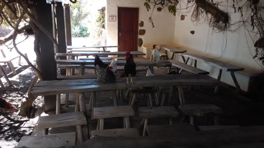 07.jpg