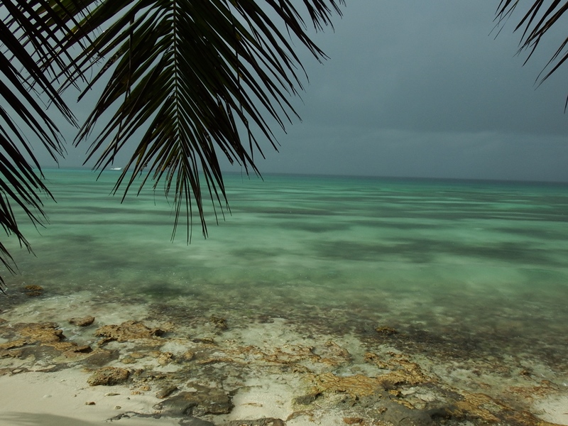 DSCF0148.JPG