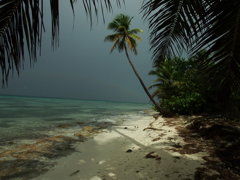 DSCF0153.JPG