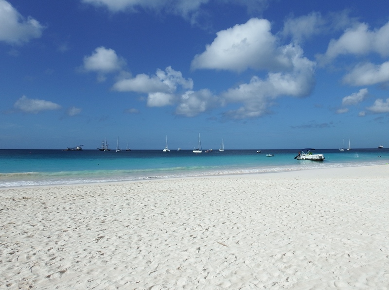 DSCF0865.JPG