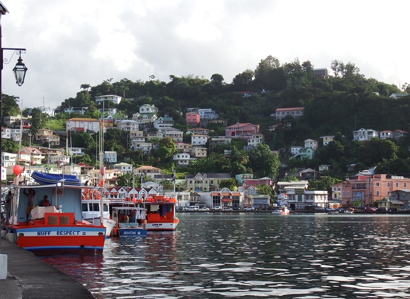 DSCF1072.JPG