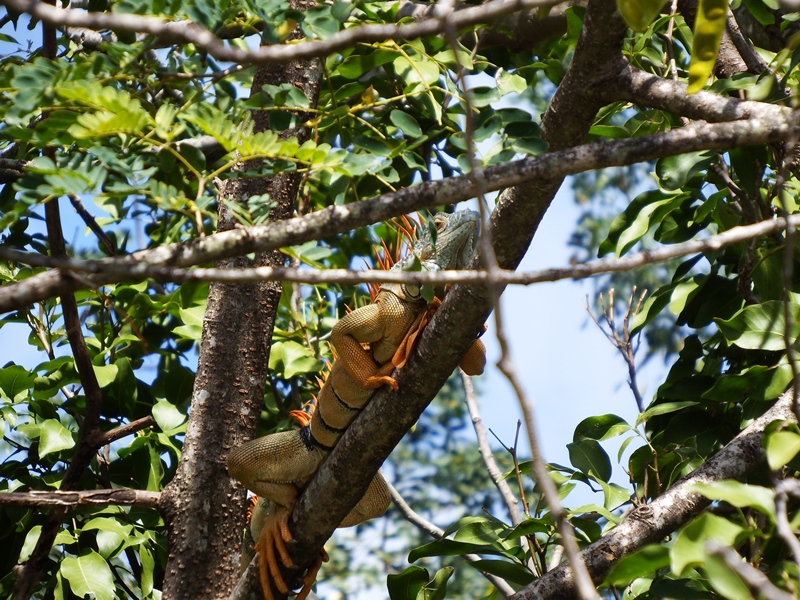 DSCF1170.JPG