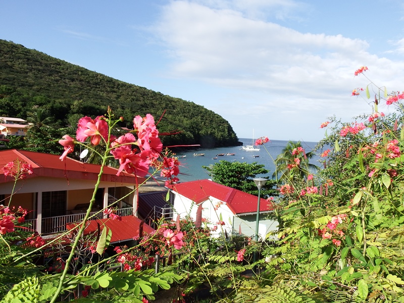 DSCF9474.JPG