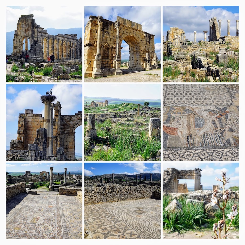 volubilis.jpg