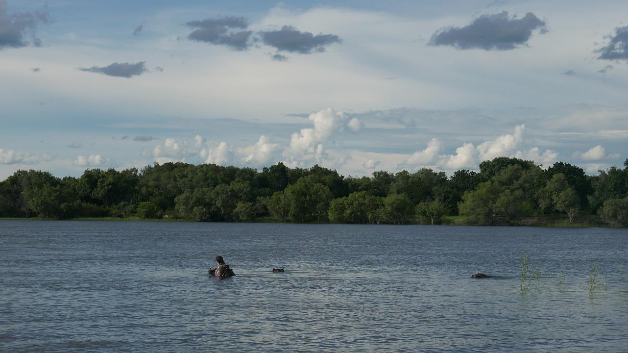 P1070478.jpg