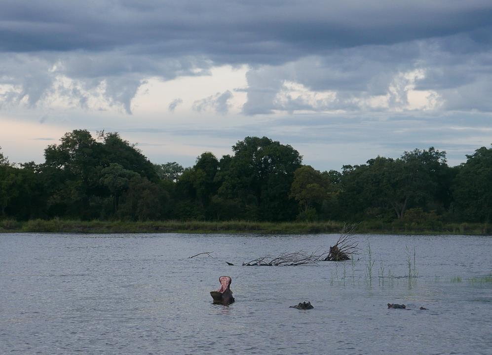 P1070660.jpg