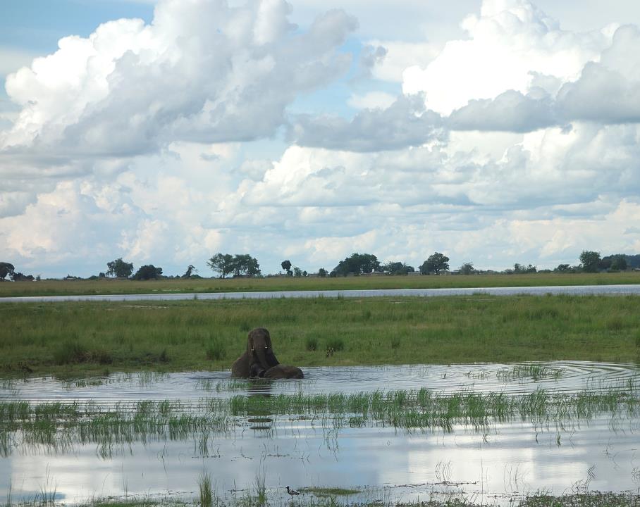 DSC01768.jpg