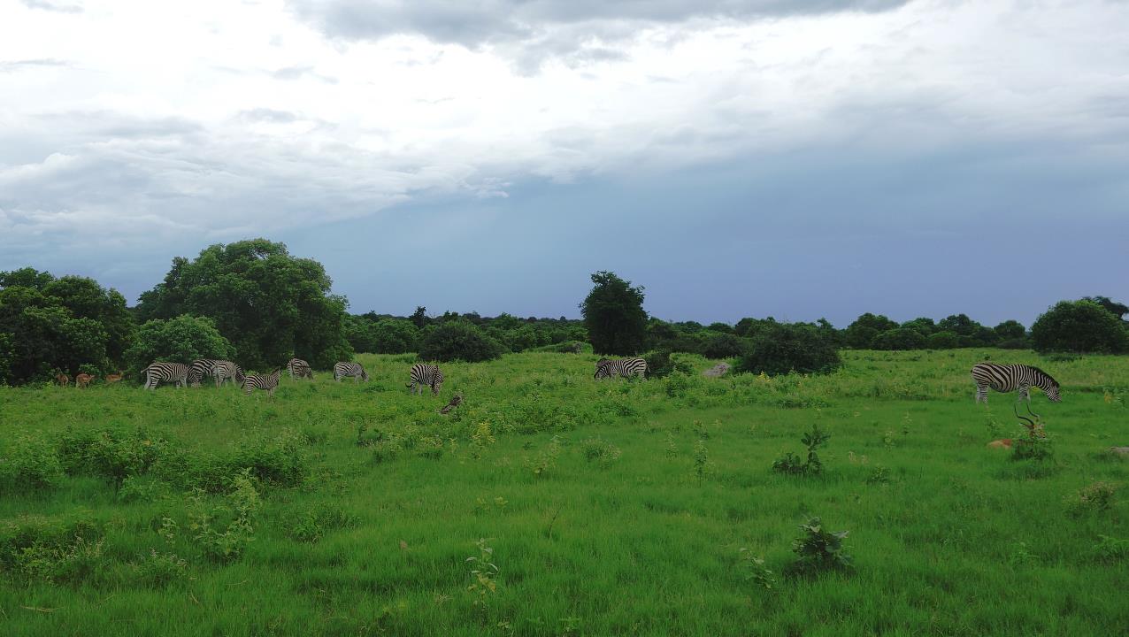 DSC01864.jpg