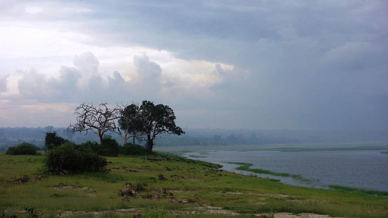 DSC01960.jpg