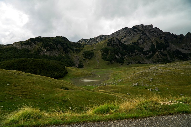 DSC08541-Resizer-800.jpg
