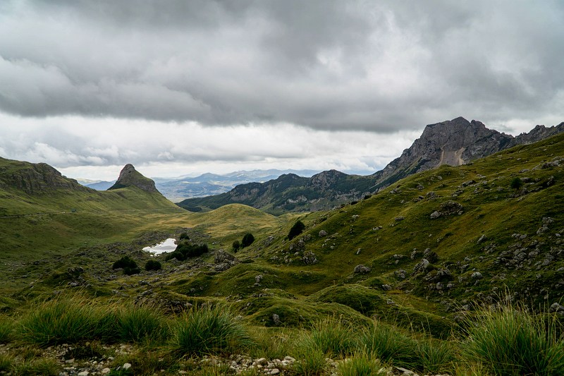 DSC08554-Resizer-800.jpg