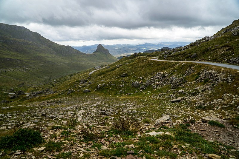 DSC08556-Resizer-800.jpg