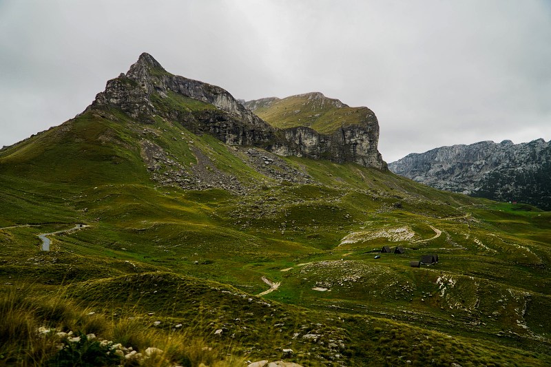 DSC08561-Resizer-800.jpg