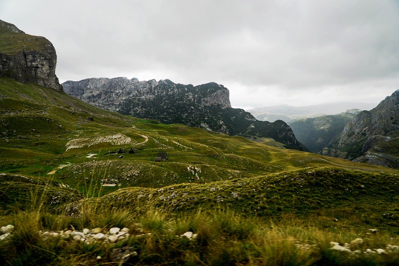DSC08563-Resizer-800.jpg