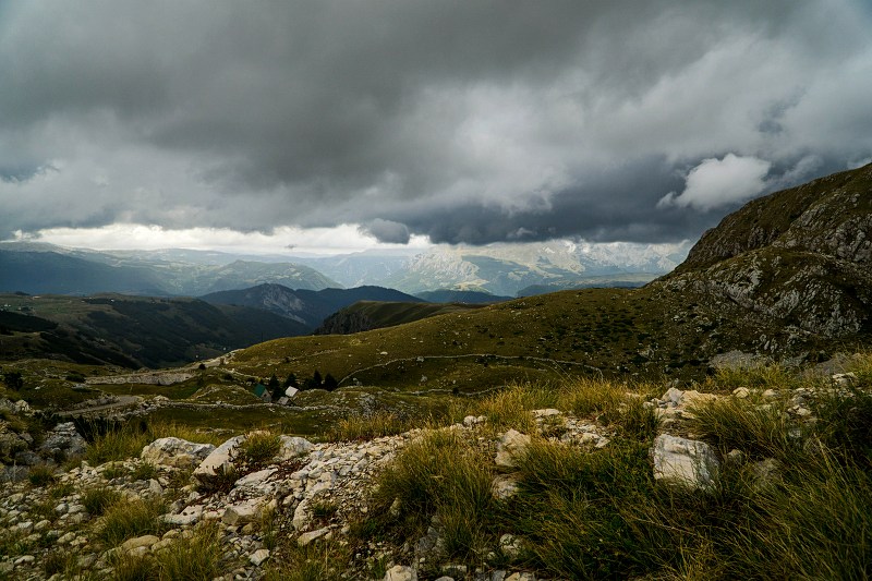 DSC08585-Resizer-800.jpg