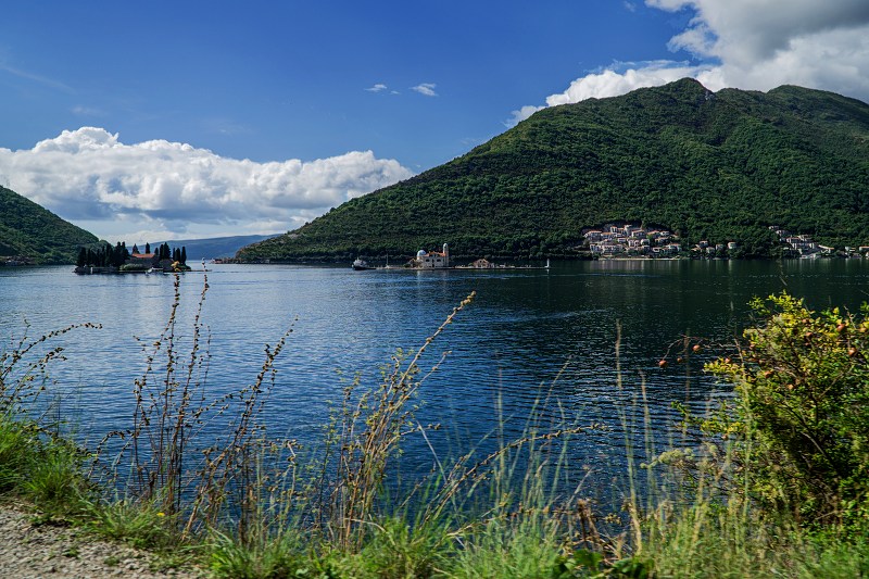 DSC08706-Resizer-800.jpg
