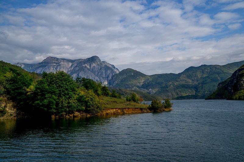 DSC08861-Resizer-800.jpg
