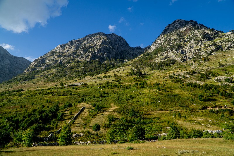 DSC08991-Resizer-800.jpg