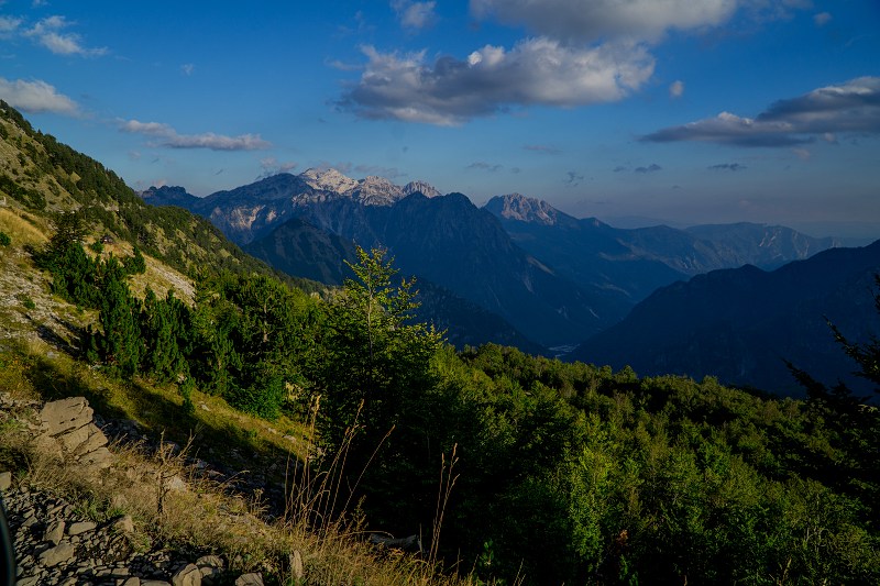 DSC09003-Resizer-800.jpg