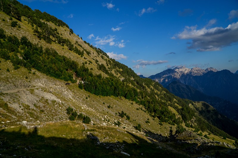 DSC09009-Resizer-800.jpg