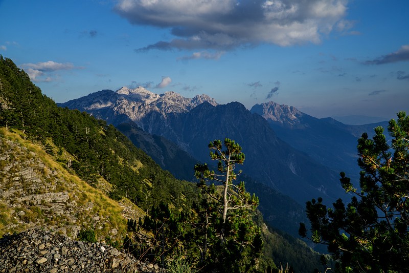DSC09012-Resizer-800.jpg