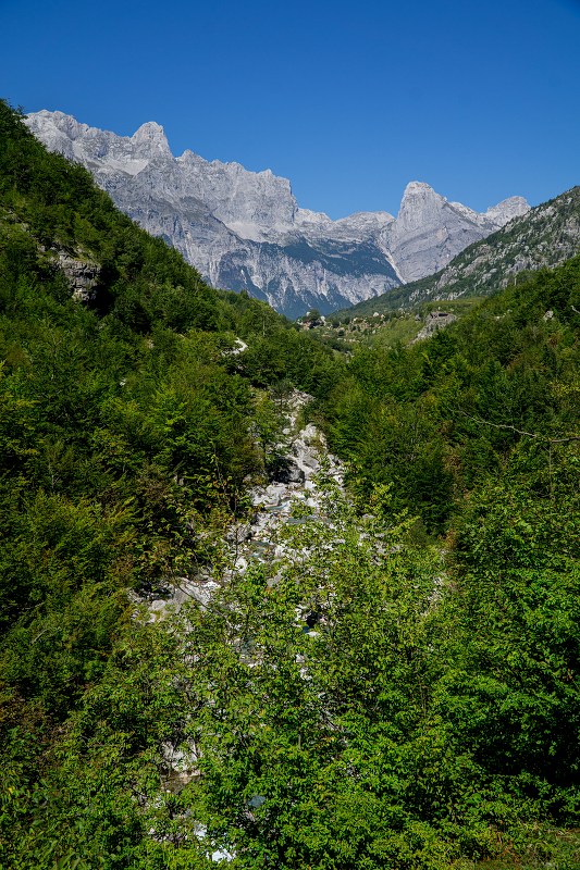 DSC09050-Resizer-800.jpg