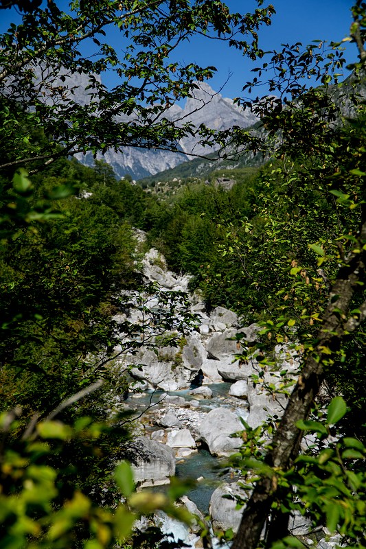 DSC09052-Resizer-800.jpg