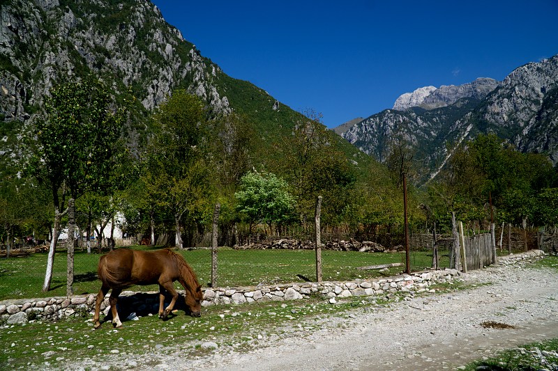 DSC09064-Resizer-800.jpg