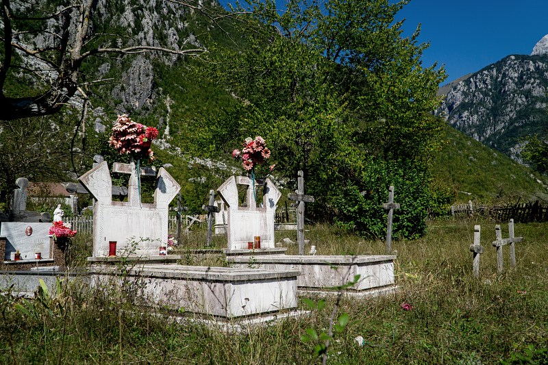 DSC09062-Resizer-800.jpg