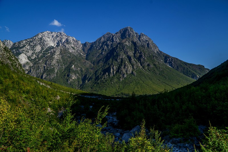 DSC09103-Resizer-800.jpg