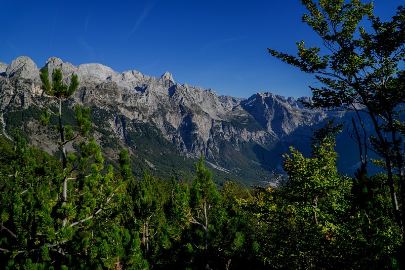 DSC09109-Resizer-800.jpg