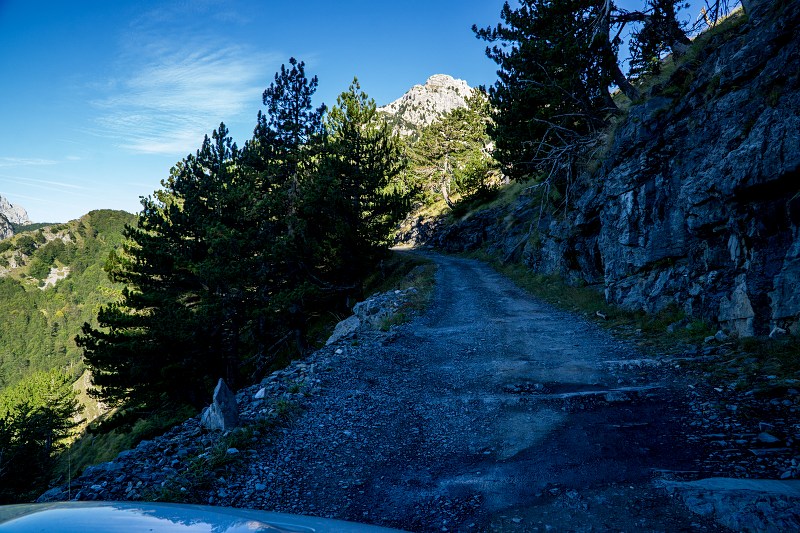 DSC09115-Resizer-800.jpg